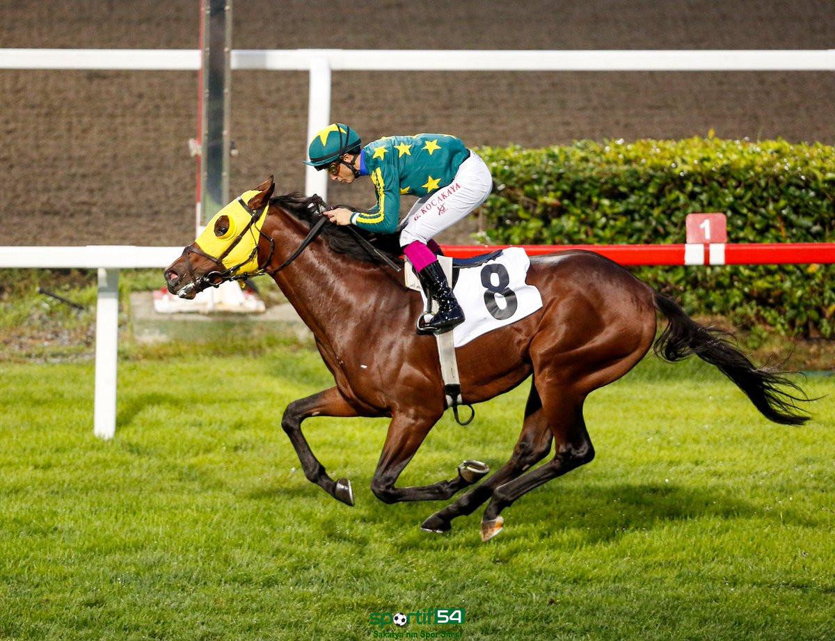 Sakaryalı “Sigoş” Gazi Koşusunda 3.oldu